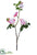 Camellia Spray - Pink White - Pack of 6