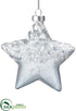 Silk Plants Direct Snowed Glass Star Ornament - Blue White - Pack of 6