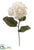 Hydrangea Spray - Cream White - Pack of 6