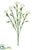 Carnation Spray - Cream White - Pack of 6