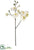 Silk Plants Direct Phalaenopsis Orchid Spray - Cream White - Pack of 6