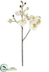 Silk Plants Direct Phalaenopsis Orchid Spray - Cream White - Pack of 6