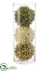 Silk Plants Direct Allium Orb - Green White - Pack of 6