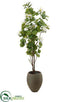 Silk Plants Direct Bauhina Tree - Green White - Pack of 1