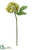 Sedum Spray - Green White - Pack of 12