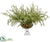 Wax Flowers,  Sedum - Green White - Pack of 1