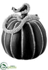 Silk Plants Direct Snake Pumpkin - Black Silver - Pack of 1