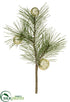 Silk Plants Direct Long Needle Pine Pick - Green Silver - Pack of 24
