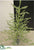 Tinsel Tree - Green Silver - Pack of 2