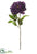 Peony Spray - Violet - Pack of 12