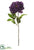 Peony Spray - Violet - Pack of 12