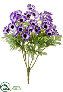Daisy Bush - Violet - Pack of 12