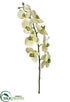 Silk Plants Direct Phalaenopsis Orchid Spray - Green Violet - Pack of 6