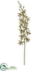 Silk Plants Direct Cymbidium Orchid Spray - Green Violet - Pack of 6