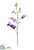 Sweetpea Spray - Purple Violet - Pack of 12