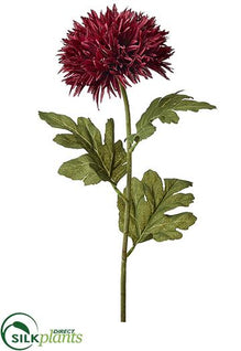 Fringe Mum Spray - Wine - Pack of 12