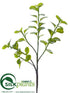 Silk Plants Direct Jade Spray - Green - Pack of 6