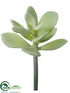 Silk Plants Direct Jade Plant - Green Gray - Pack of 12