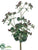Flowering Kalanchoe Pick - Green Purple - Pack of 12