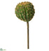 Silk Plants Direct Barrel Cactus Pick - Green Orange - Pack of 12