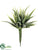 Mini Aloe Pick - Green - Pack of 12