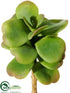 Silk Plants Direct Kalanchoe Pick - Green - Pack of 36