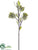 Silk Plants Direct Kalanchoe Spray - Green Gray - Pack of 6