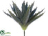 Silk Plants Direct Agave Pick - Green Gray - Pack of 24