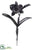 Silk Plants Direct Cattleya Orchid Spray - Black - Pack of 6