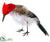 Silk Plants Direct Woodpecker - Red Black - Pack of 12