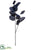 Silk Plants Direct Salal Leaf Spray - Blue Black - Pack of 12