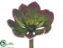 Silk Plants Direct Echeveria Pick - Green Burgundy - Pack of 12