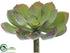 Silk Plants Direct Echeveria Pick - Green Gray - Pack of 12