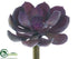 Silk Plants Direct Echeveria Pick - Purple - Pack of 12