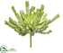Silk Plants Direct Aeonium Pick - Green Flocked - Pack of 6