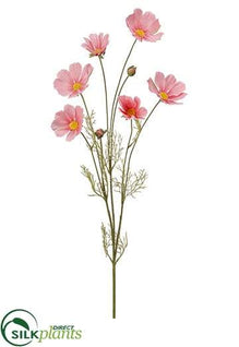 Cosmos Spray - Pink - Pack of 24