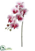Silk Plants Direct Phalaenopsis Orchid Spray - Pink - Pack of 12