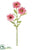 Daisy Spray - Pink - Pack of 12