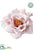 Velvet Rose - White - Pack of 12