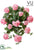 Geranium Hanging Bush - Pink - Pack of 6