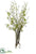 Berries, Blossom - White Pink - Pack of 1