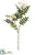 Silk Plants Direct Sorbus Spray - White Pink - Pack of 12
