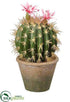 Silk Plants Direct Flowering Barrel Cactus - Green Pink - Pack of 6