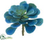 Silk Plants Direct Echeveria Pick - Blue - Pack of 12