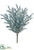 Astilbe Bush - Blue - Pack of 12