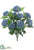 Queen Anne's Lace Bush - Blue - Pack of 12