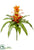 Silk Plants Direct Bromeliad Spray - Orange Flame - Pack of 4