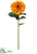Silk Plants Direct Zinnia Stem - Gold Old - Pack of 12