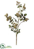 Silk Plants Direct Pompon Rose Spray - Gold Old - Pack of 6