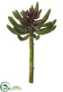 Silk Plants Direct Aeonium Pick - Green Plum - Pack of 12